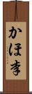 かほ李 Scroll