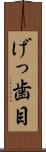 げっ歯目 Scroll