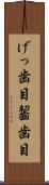 げっ歯目 Scroll