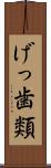 げっ歯類 Scroll