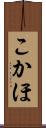 こかほ Scroll