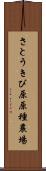さとうきび原原種農場 Scroll
