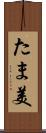 たま美 Scroll