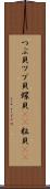つぶ貝 Scroll