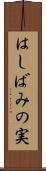 はしばみの実 Scroll