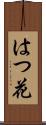 はつ花 Scroll