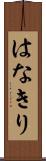 はなきり Scroll