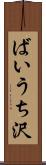 ばいうち沢 Scroll