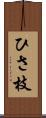 ひさ枝 Scroll