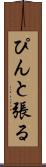 ぴんと張る Scroll