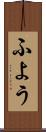 ふよう Scroll