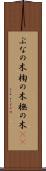 ぶなの木 Scroll
