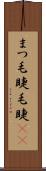 まつ毛 Scroll