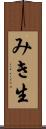 みき生 Scroll