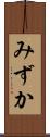 みずか Scroll