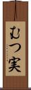 むつ実 Scroll