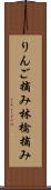 りんご摘み Scroll