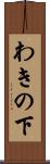 わきの下 Scroll