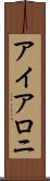 アイアロニ Scroll