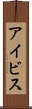 アイビス Scroll