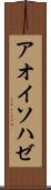 アオイソハゼ Scroll