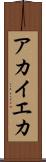アカイエカ Scroll