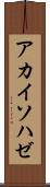 アカイソハゼ Scroll