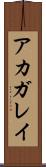 アカガレイ Scroll