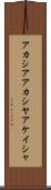 アカシア Scroll