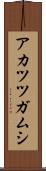 アカツツガムシ Scroll