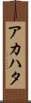 アカハタ Scroll