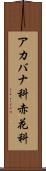 アカバナ科 Scroll