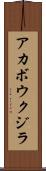 アカボウクジラ Scroll