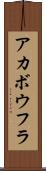 アカボウフラ Scroll