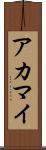 アカマイ Scroll
