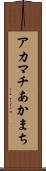 アカマチ Scroll