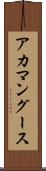 アカマングース Scroll