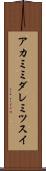 アカミミダレミツスイ Scroll