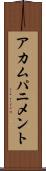 アカムパニメント Scroll