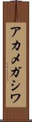 アカメガシワ Scroll