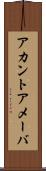 アカントアメーバ Scroll