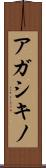 アガシキノ Scroll