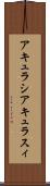 アキュラシ Scroll