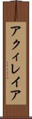 アクィレイア Scroll