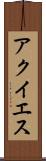 アクイエス Scroll
