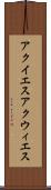 アクイエス Scroll
