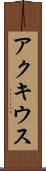 アクキウス Scroll
