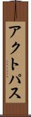 アクトパス Scroll