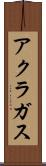 アクラガス Scroll
