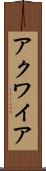 アクワイア Scroll